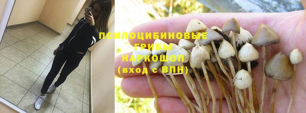 ECSTASY Семилуки