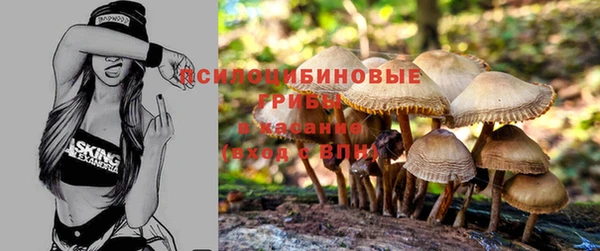 ECSTASY Семилуки