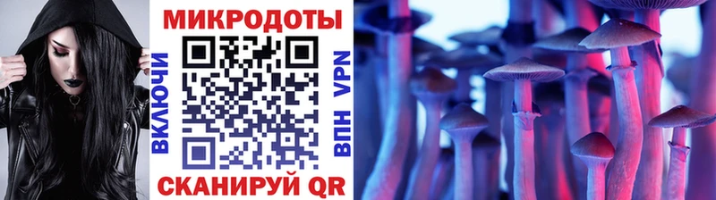 Купить  Истра  Галлюциногенные грибы прущие грибы 